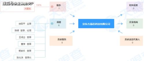 注冊(cè)資本9.5億元，京東方成立晶芯科技公司，深化布局物聯(lián)網(wǎng)技術(shù)服務(wù)
